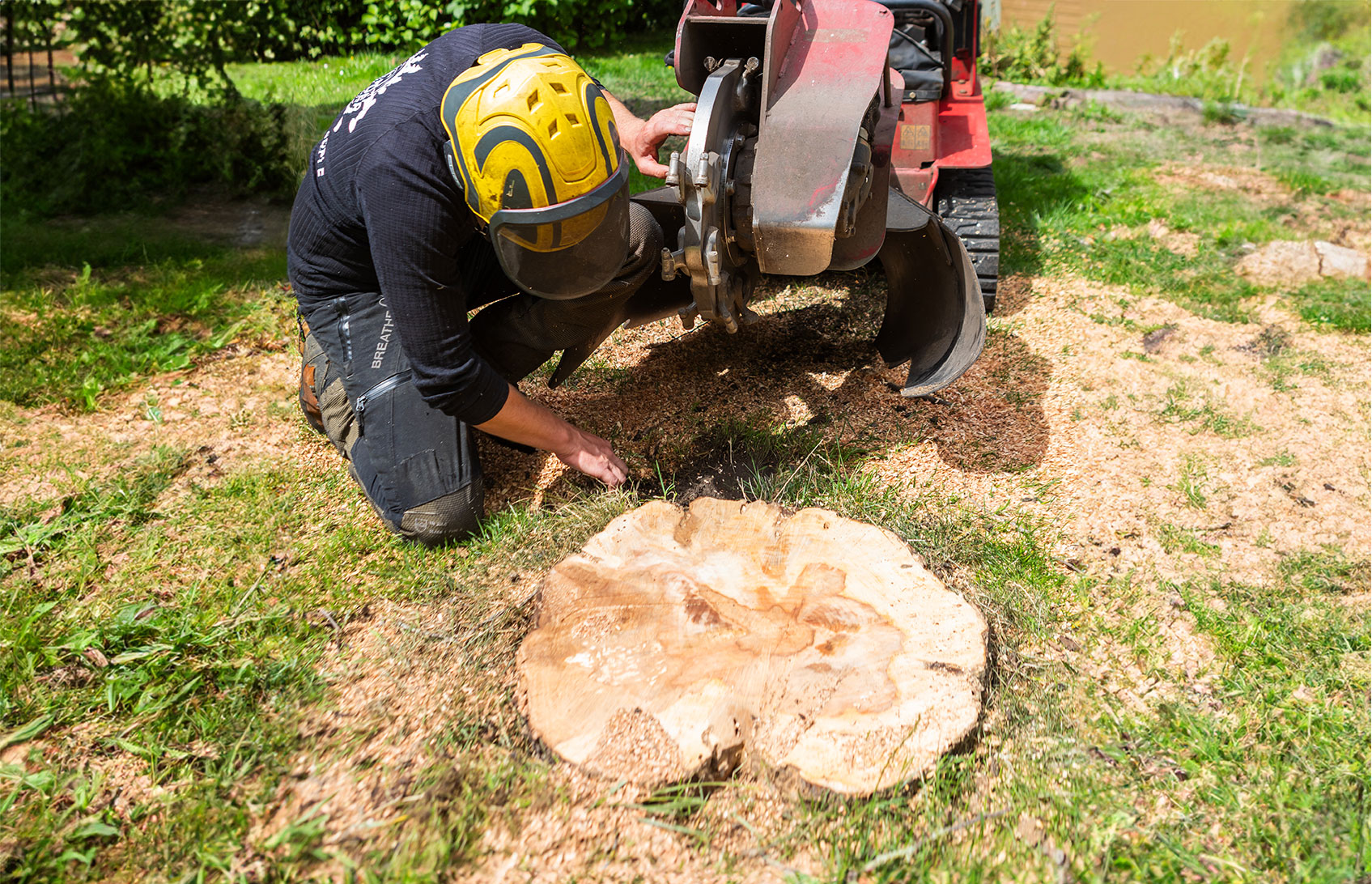 boomstronk verwijderen met de stobbenfrees toro stx-38