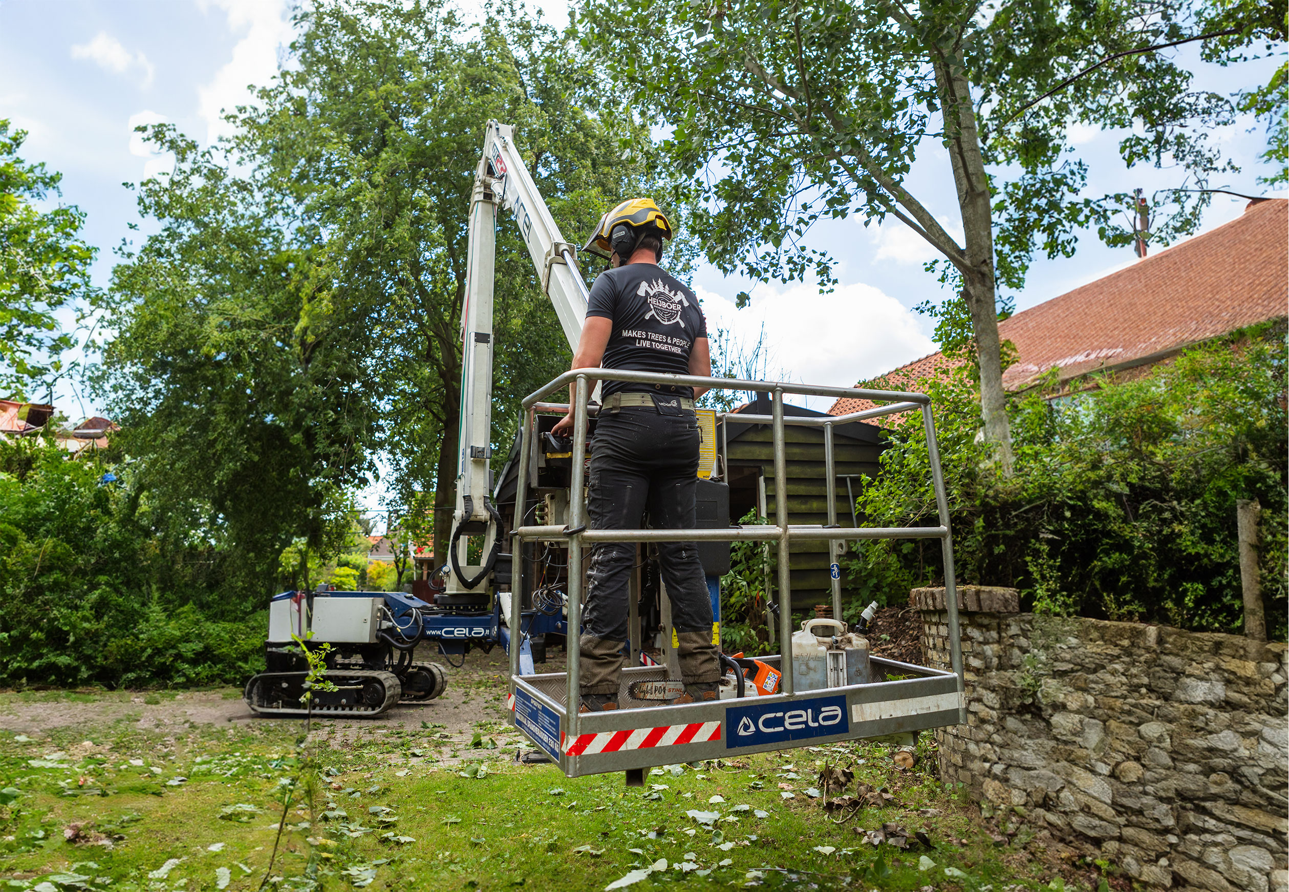 de veiligheid van de bomen controleren we middels de VTA - Visual Tree Assessment