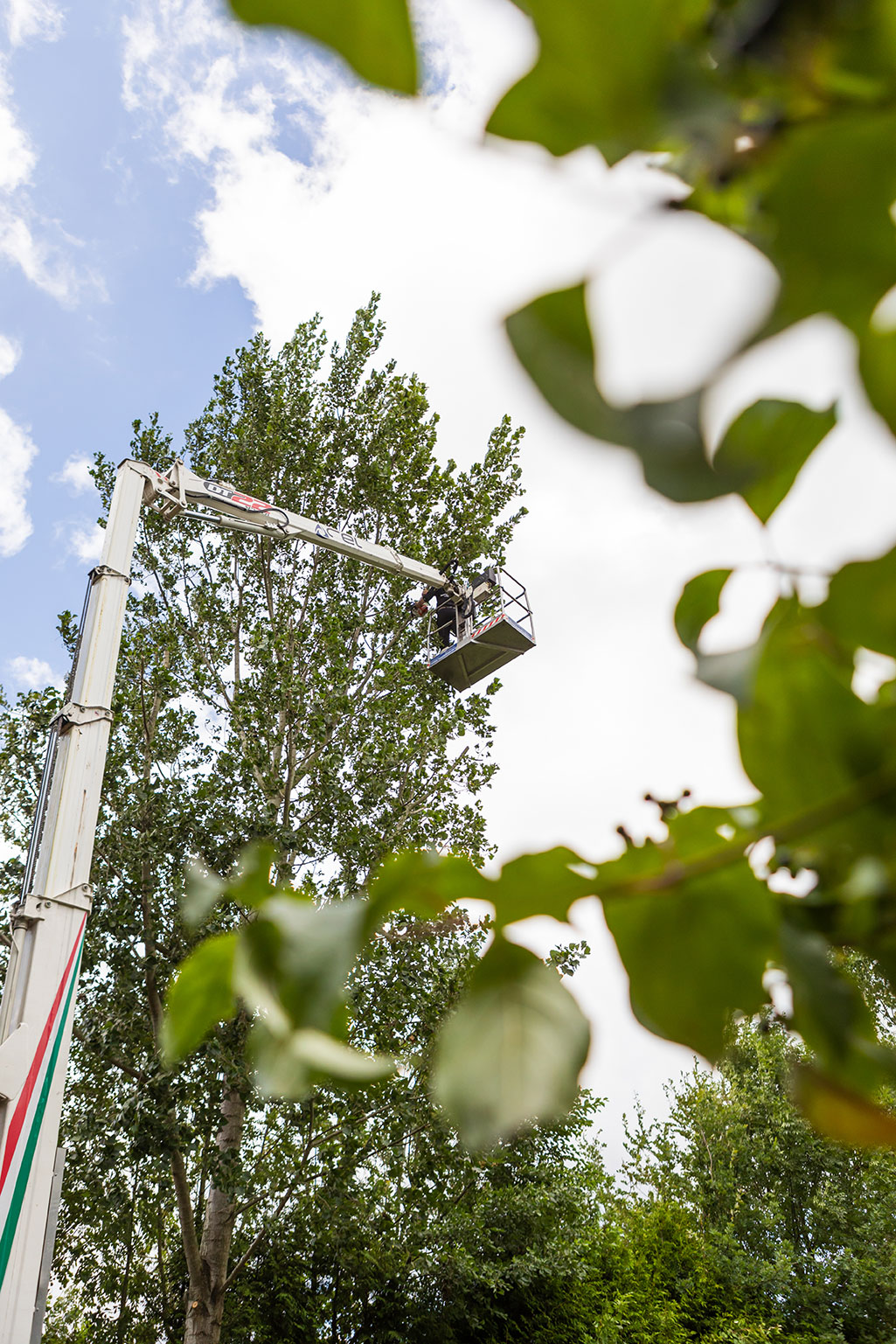 Luuc Heijboer voert een boomveiligheidscontrole uit